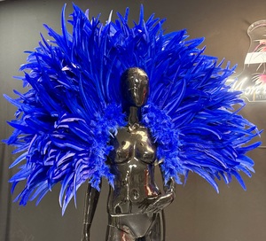 Cliquez pour agrandir