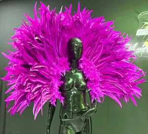 Cliquez pour agrandir