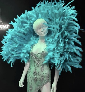 Cliquez pour agrandir