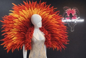 Cliquez pour agrandir