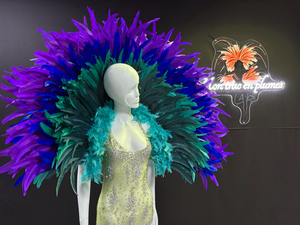 Cliquez pour agrandir