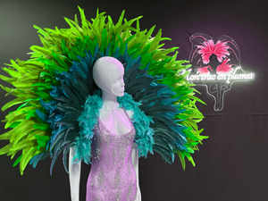 Cliquez pour agrandir