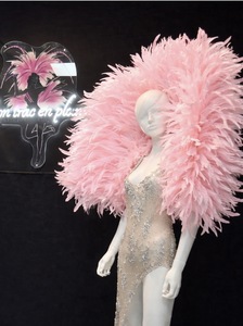 Cliquez pour agrandir