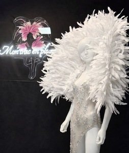 Cliquez pour agrandir