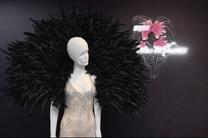 Cliquez pour agrandir