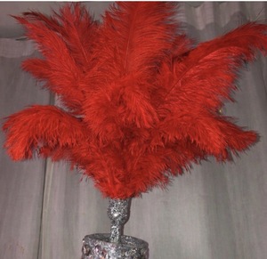 Cliquez pour agrandir