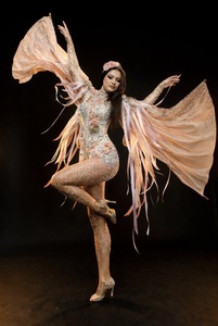 Cliquez pour agrandir