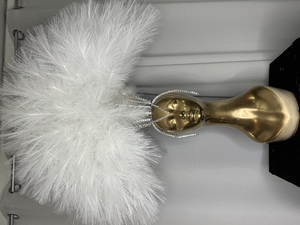 Cliquez pour agrandir