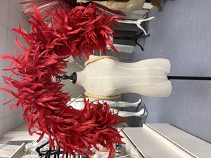 Cliquez pour agrandir