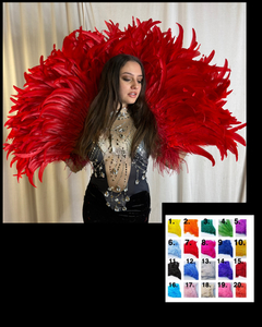 Cliquez pour agrandir