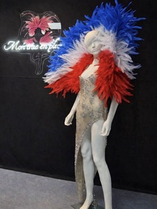 Cliquez pour agrandir