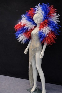 Cliquez pour agrandir