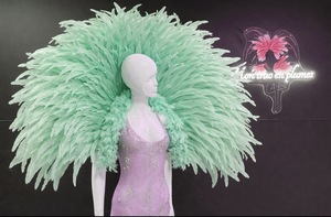 Cliquez pour agrandir