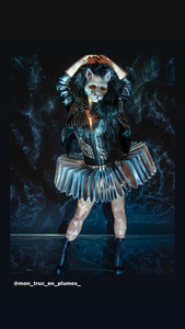 Cliquez pour agrandir