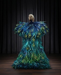 Cliquez pour agrandir