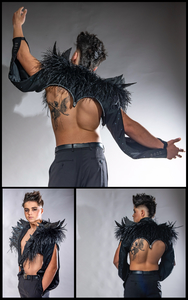 Cliquez pour agrandir